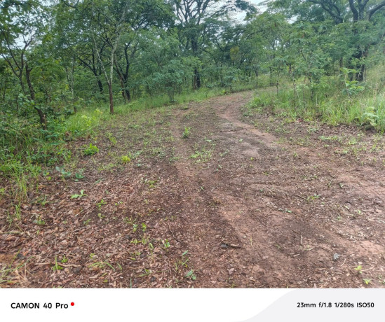 leopards-hill-four-4-acre-landsubdivision-per-acresale60000-big-2