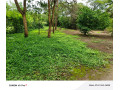 leopards-hill-areanear-monkey-poolland-for-sale2acres-135000-small-1