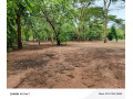 leopards-hill-areanear-monkey-poolland-for-sale2acres-135000-small-3