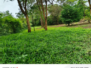 leopards-hill-areanear-monkey-poolland-for-sale2acres-135000