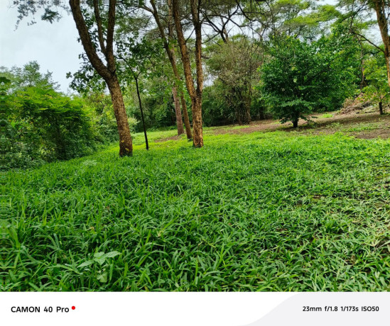 leopards-hill-areanear-monkey-poolland-for-sale2acres-135000-big-0