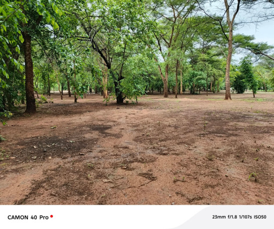 leopards-hill-areanear-monkey-poolland-for-sale2acres-135000-big-3