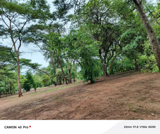 leopards-hill-areanear-monkey-poolland-for-sale2acres-135000-big-4