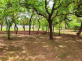 chifwema-roadland-for-sale1436sqmk700000-small-2