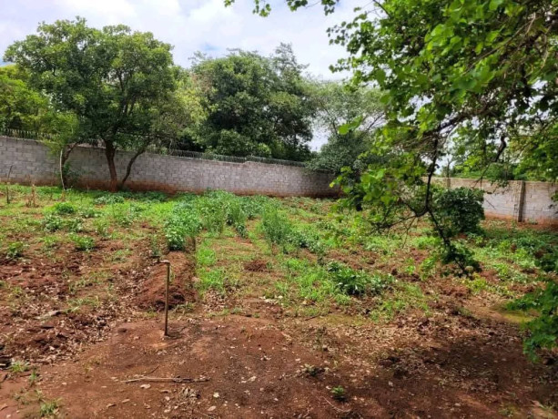 chifwema-roadland-for-sale1436sqmk700000-big-1