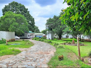 kabulonga-area-commercial-use-onlyasking-rentk60000