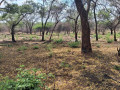 3-acres-serviced-plot-mukamunya-est-off-leopard-hill-rd-165000-small-2