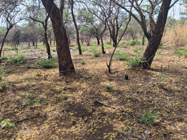 3-acres-serviced-plot-mukamunya-est-off-leopard-hill-rd-165000-big-1